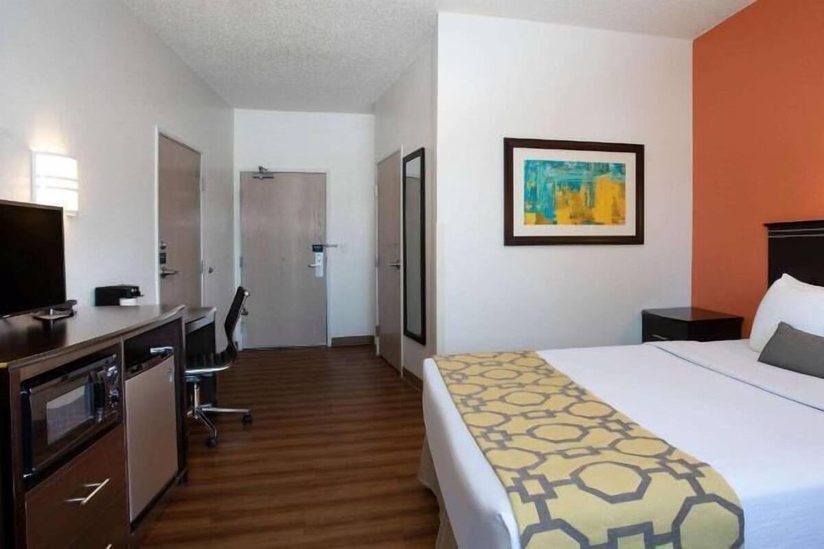 A hotel room with a bed, a desk, a chair, a television, and a framed picture on the wall.