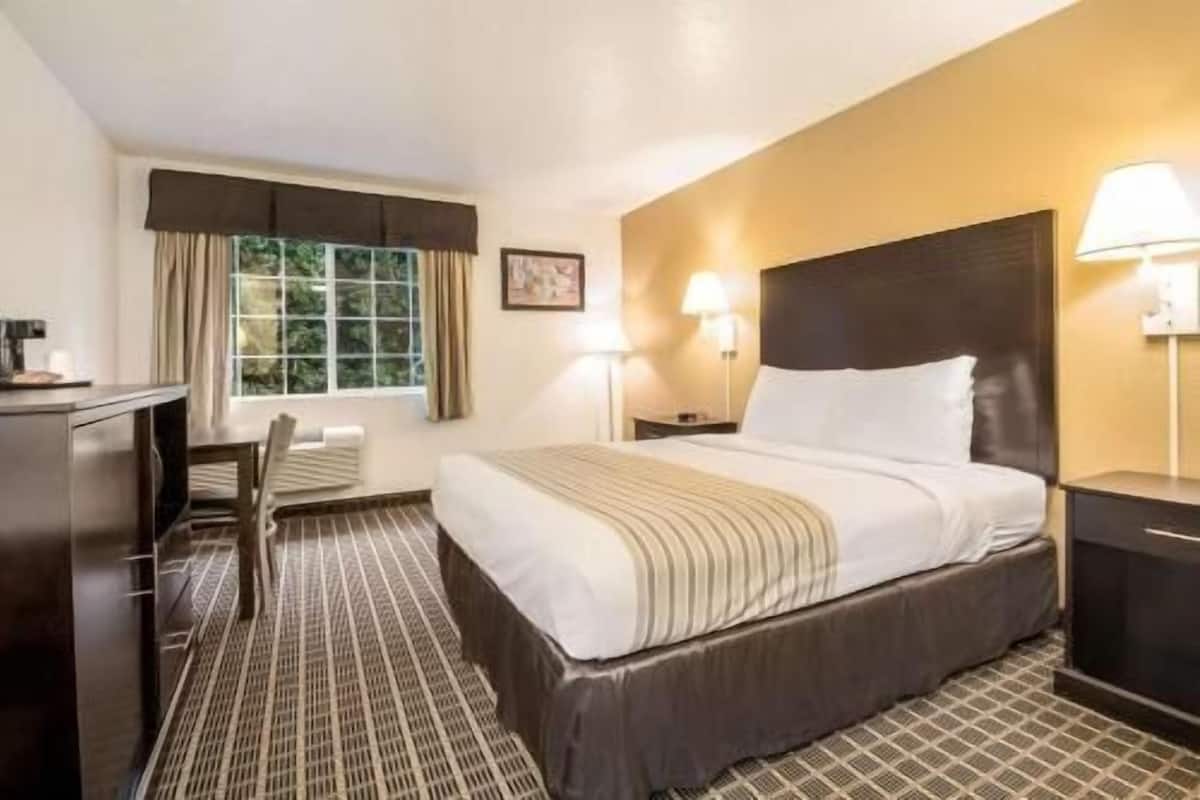 Una habitación de hotel con cama, escritorio, silla, lámpara y ventana.