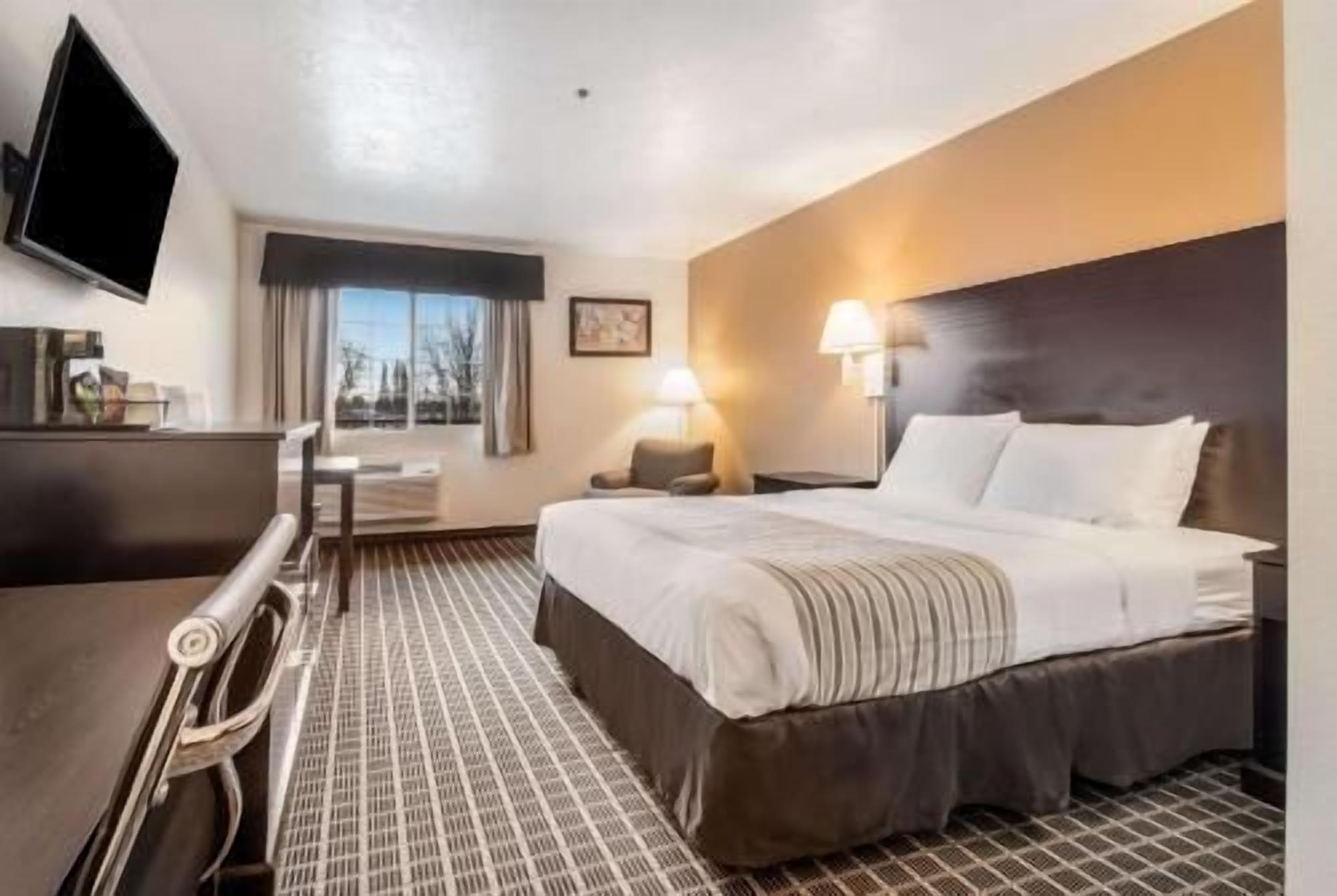 Desk, soundproofing, rollaway beds, free WiFi