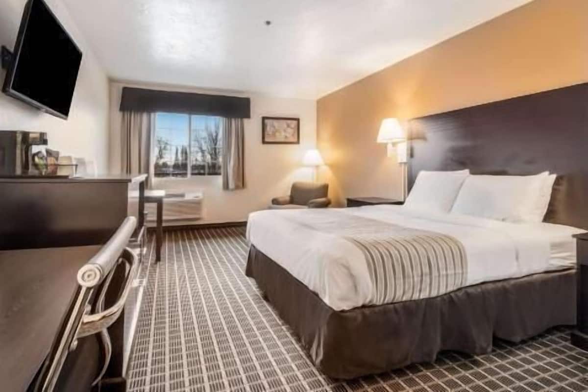 Una habitación de hotel con cama, mesitas de noche, escritorio, silla, televisor y ventana.