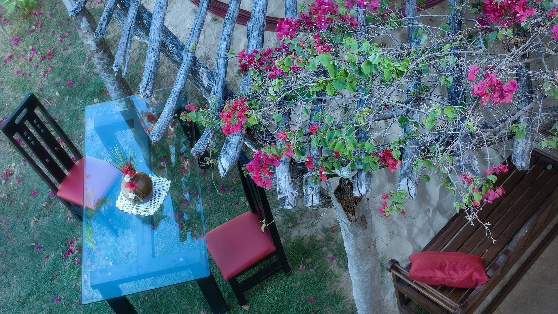 Ein Außenbereich mit Sitzgelegenheit, Tisch und Stühlen, umgeben von einem Garten mit Bougainvillea.