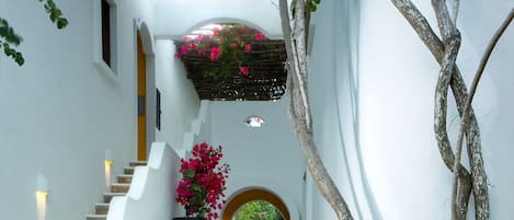 Un pasillo de paredes blancas con una escalera, una pérgola de madera adornada con flores rosadas y un tronco de árbol a la derecha.