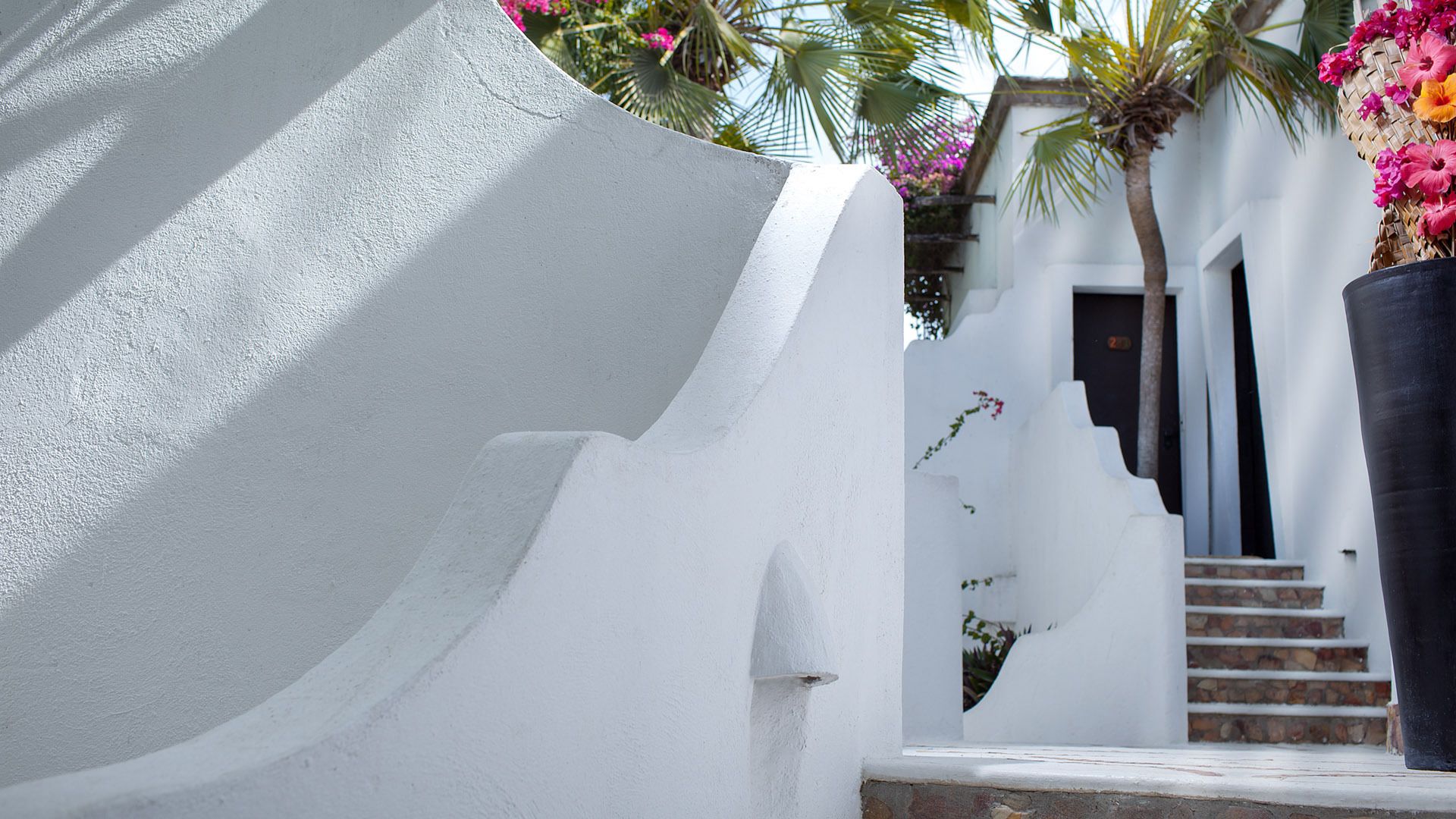 Un edificio blanco con fachada curva, una escalera que lleva a una puerta y una maceta grande con flores rosas.