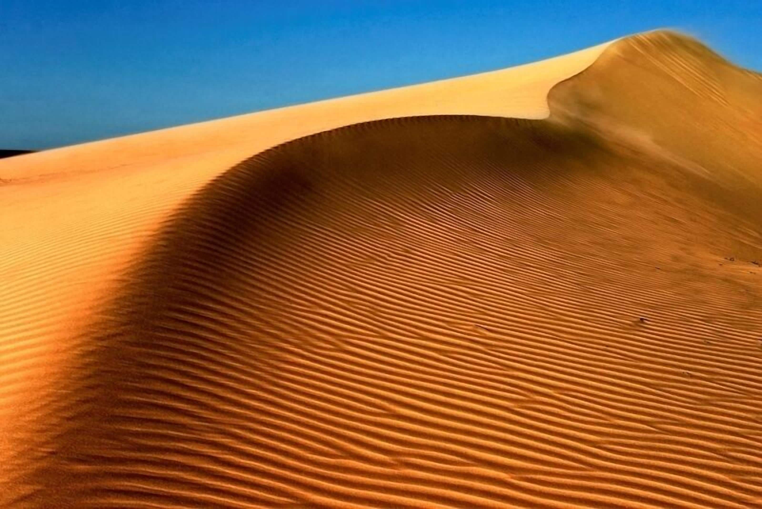 land view from property