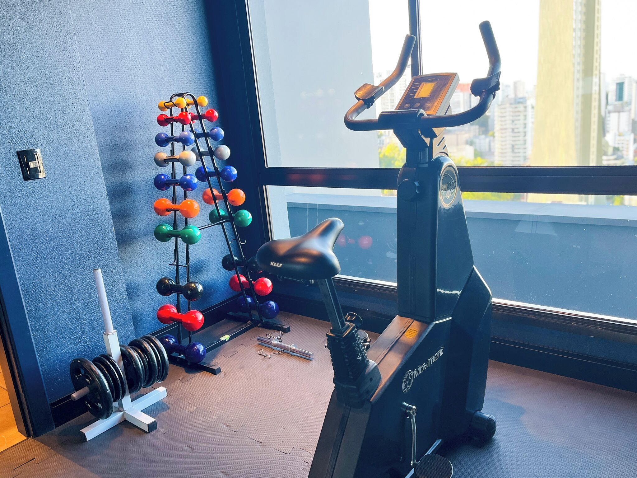 Ein Fitnessraum mit einem Ergometer, einem Gewichtsheberbock voller farbiger Kurzhanteln und einer Langhantel.