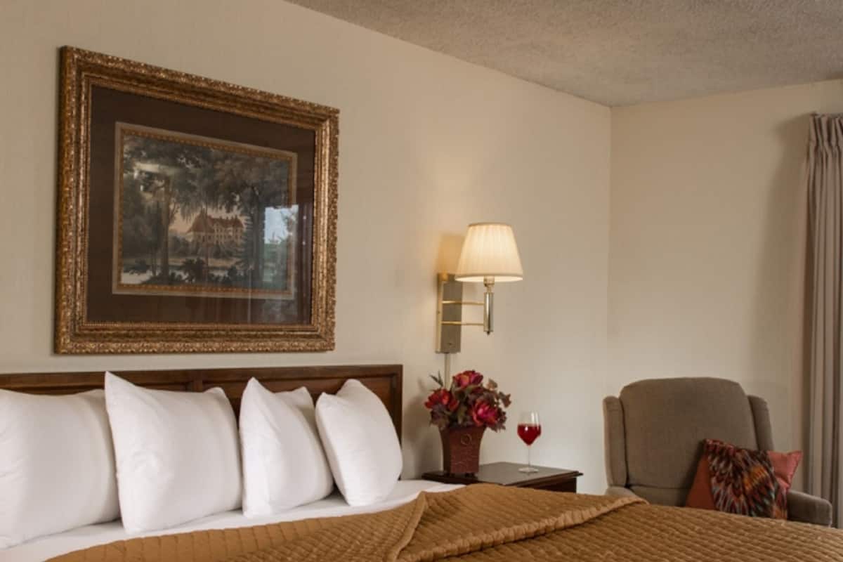 Une chambre d’hôtel avec un grand lit, une table de chevet avec une lampe, une chaise et un tableau encadré au mur.