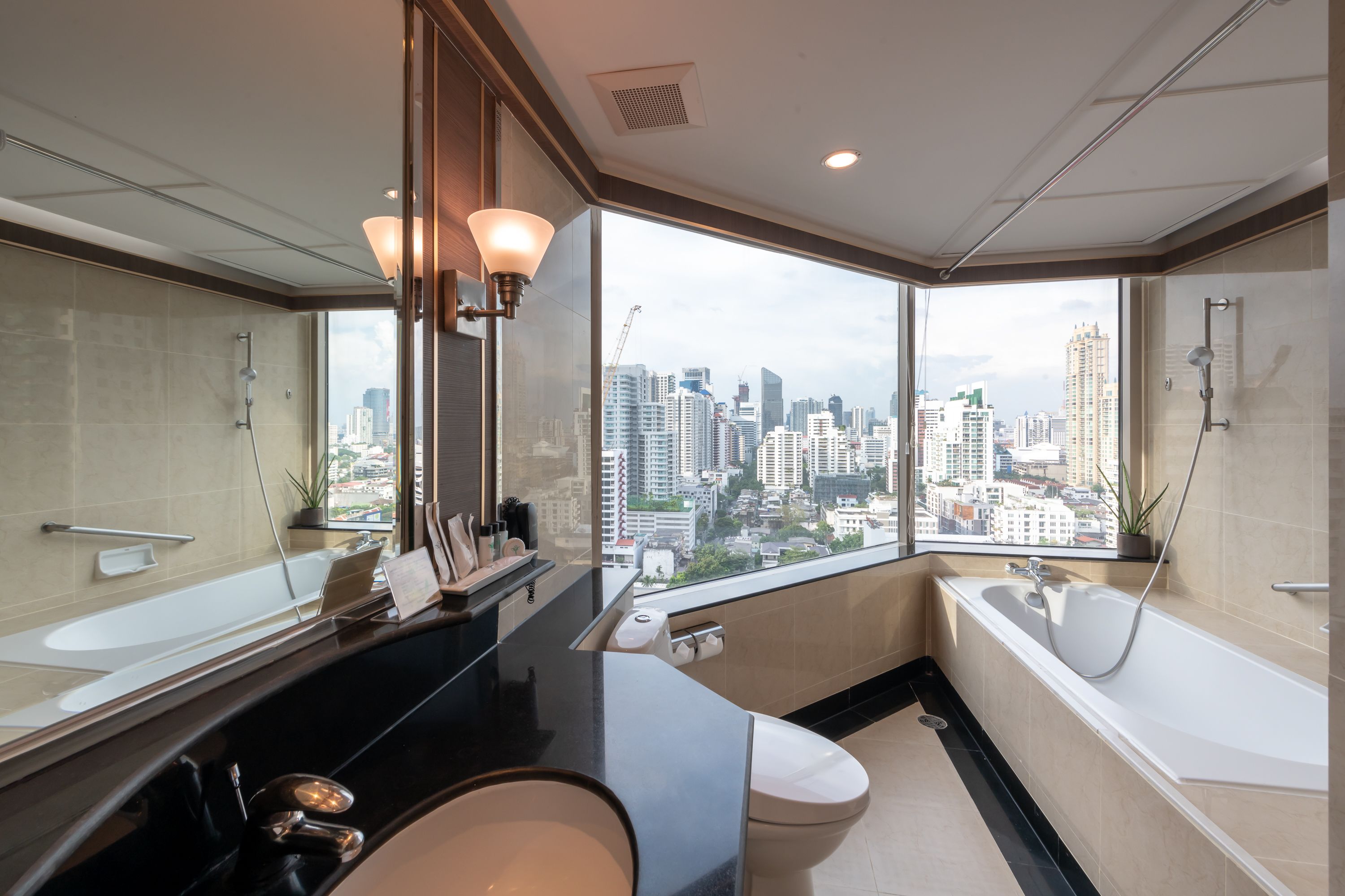 separate bathtub and shower, free toiletries, hair dryer, bathrobes