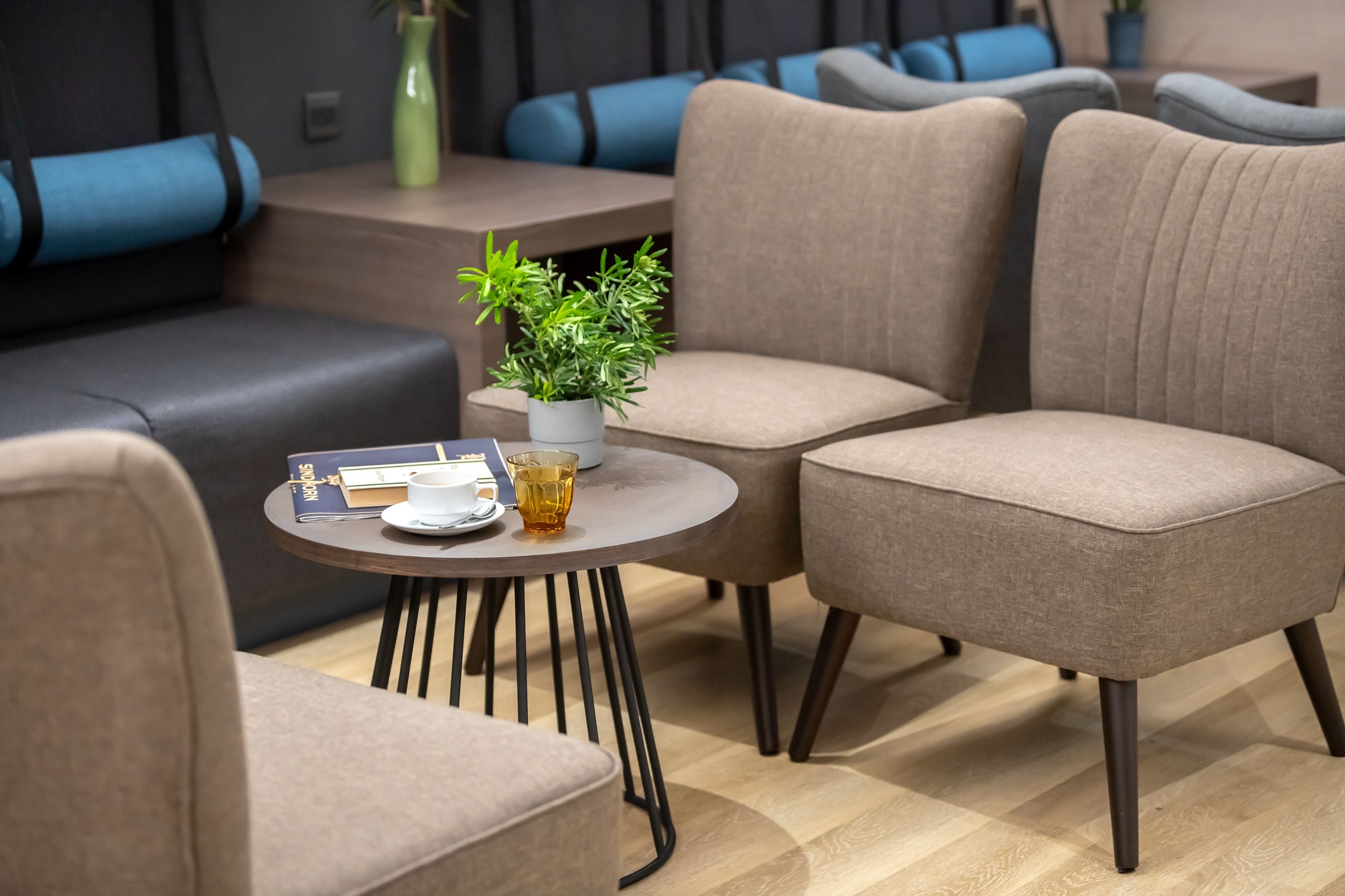 A modern lounge area with sofas and a small round table, a potted plant, and a book.