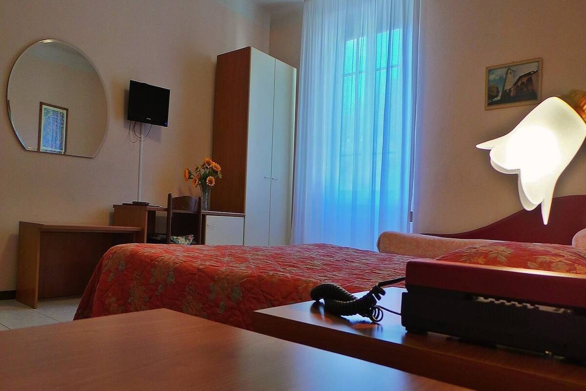 A hotel room with a bed, a desk, a wardrobe, a mirror, a TV, and a window with curtains.