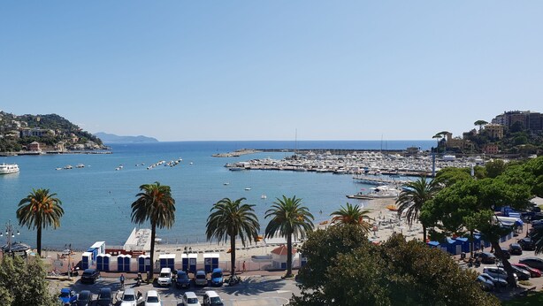 Un pueblo costero con un puerto deportivo, palmeras y un cielo azul despejado.