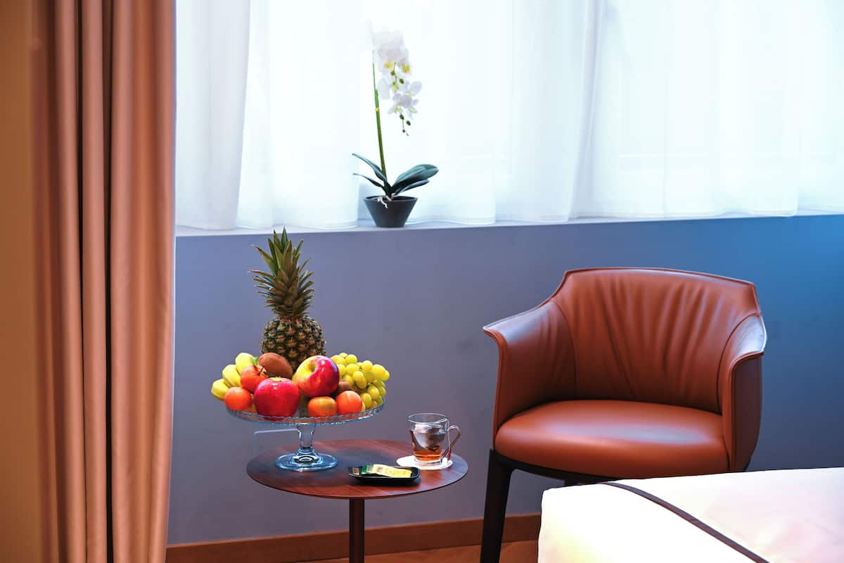 Copriletto in piuma, minibar, una cassaforte in camera, una scrivania