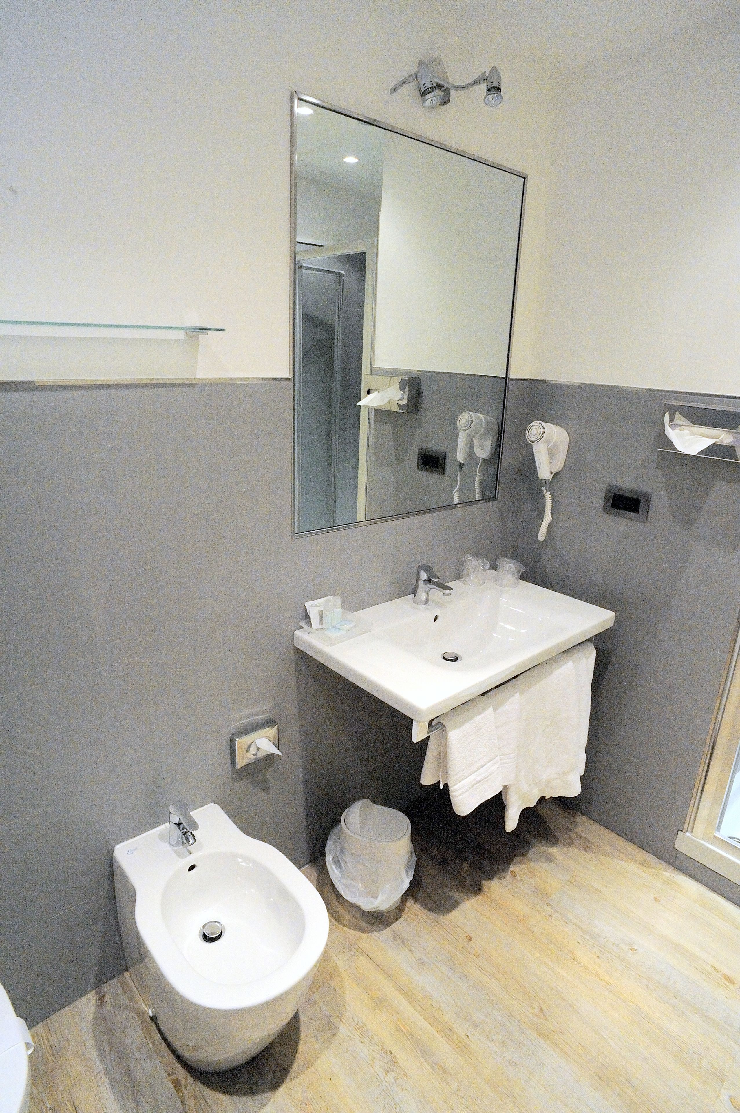 shower, free toiletries, hair dryer, bidet