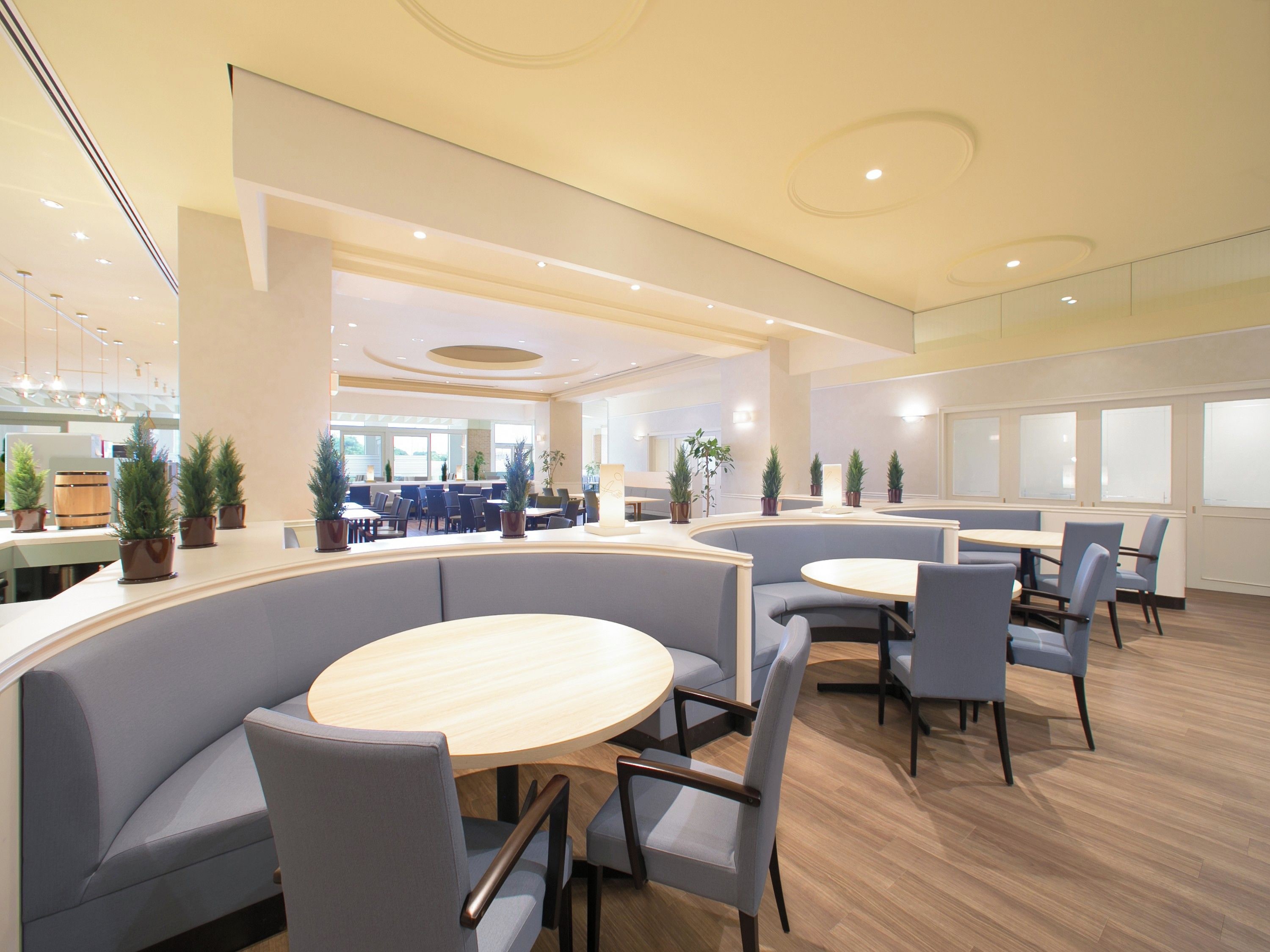 A modern interior with curved seating areas, round tables, and potted plants.