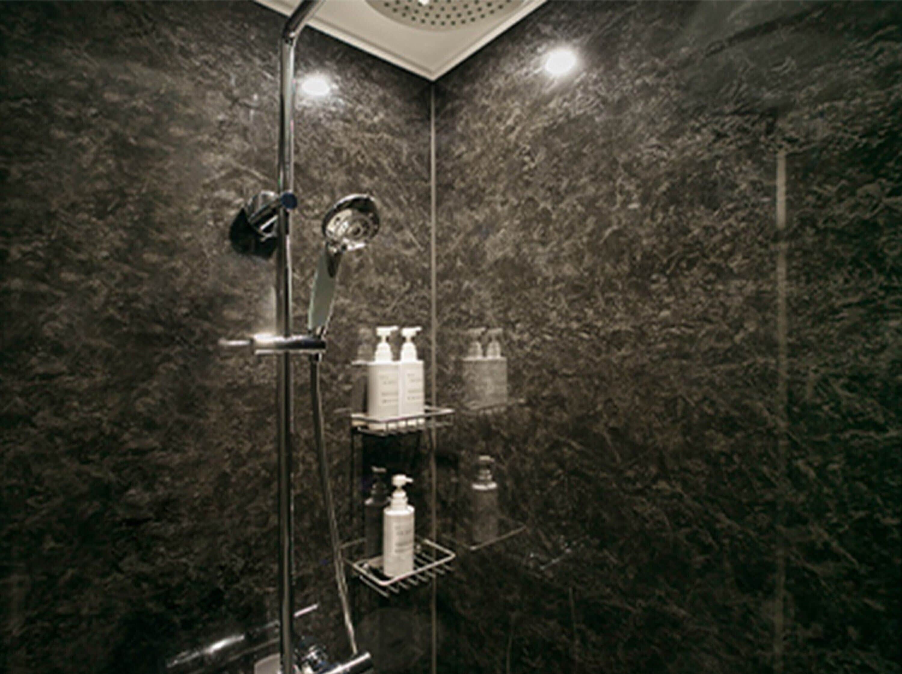 Eco-friendly toiletries, hair dryer, slippers, bidet