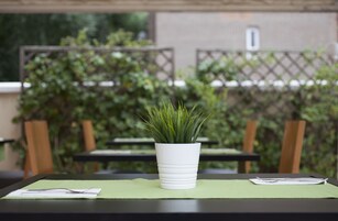 A table with a white pot of green plants, a green placemat, and a pair of glasses on a black tablecloth.
