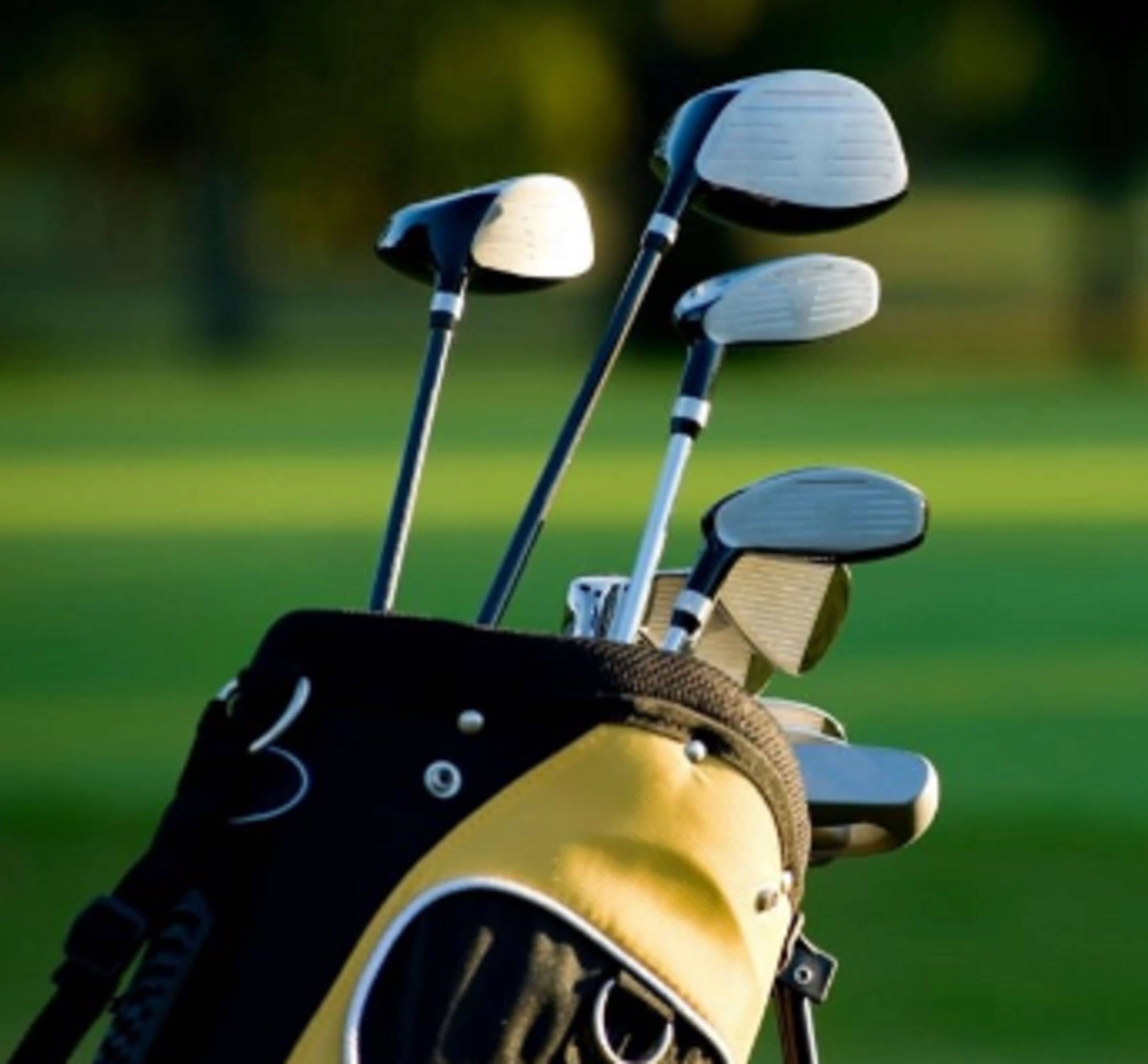 A golf bag with multiple clubs.