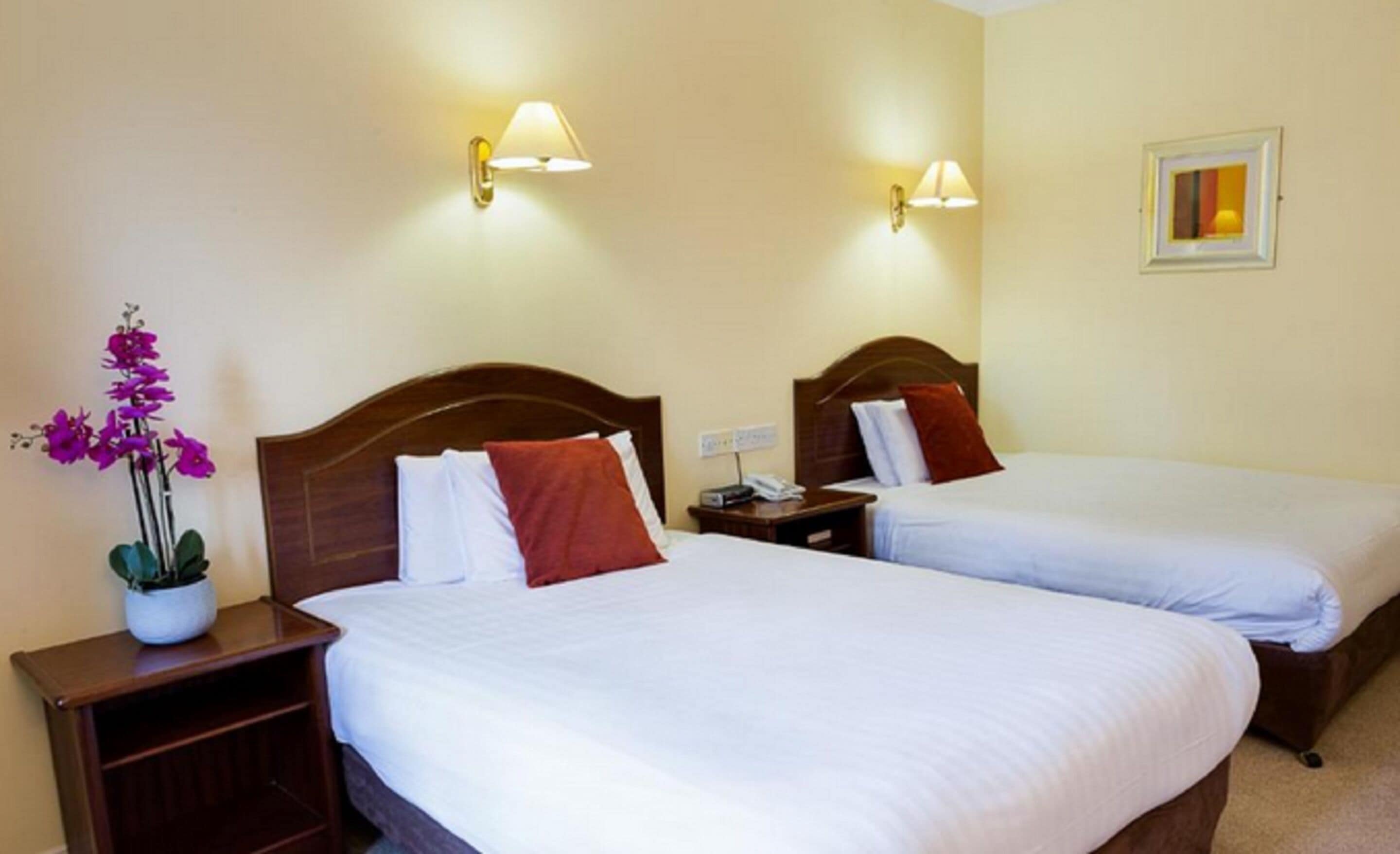 Individually decorated, individually furnished, desk, iron/ironing board