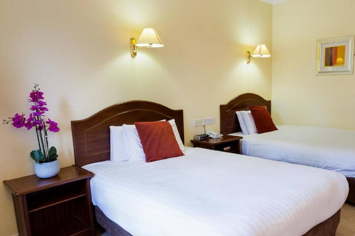 A hotel room with two single beds, each with a wooden headboard, white bedding, and a red pillow. There are bedside tables with lamps, a potted plant, and a framed picture on the wall.