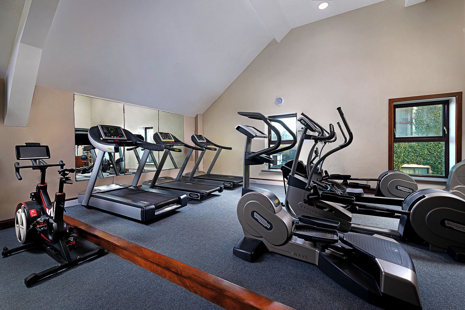 A home gym with treadmills, elliptical machines, and a stationary bike.