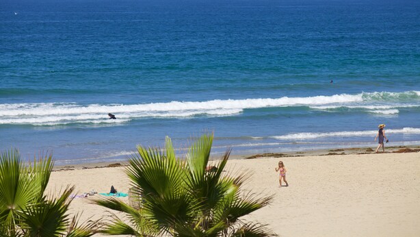 A beach with palm trees, a sandy shore, and the ocean. - Surfer Beach Hotel (San Diego)
