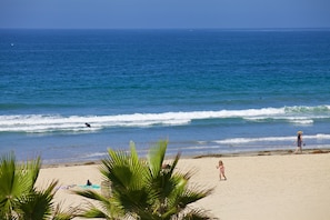 A beach with palm trees, a sandy shore, and the ocean.