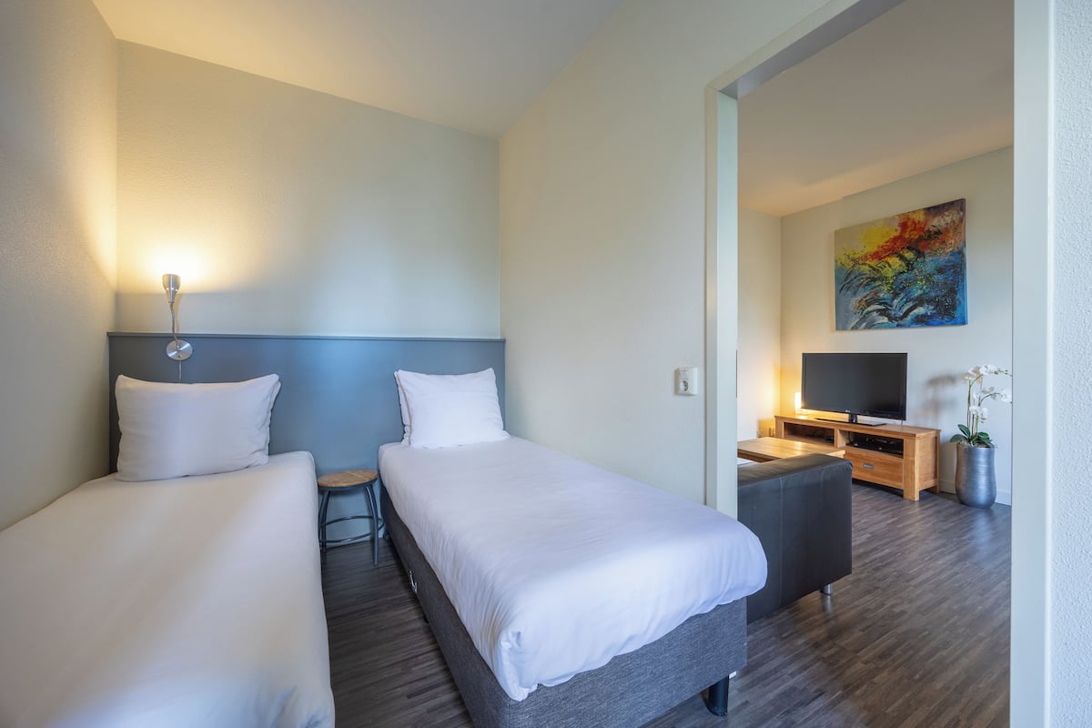 Habitación de hotel con dos camas, televisión, un cuadro y una planta en maceta.