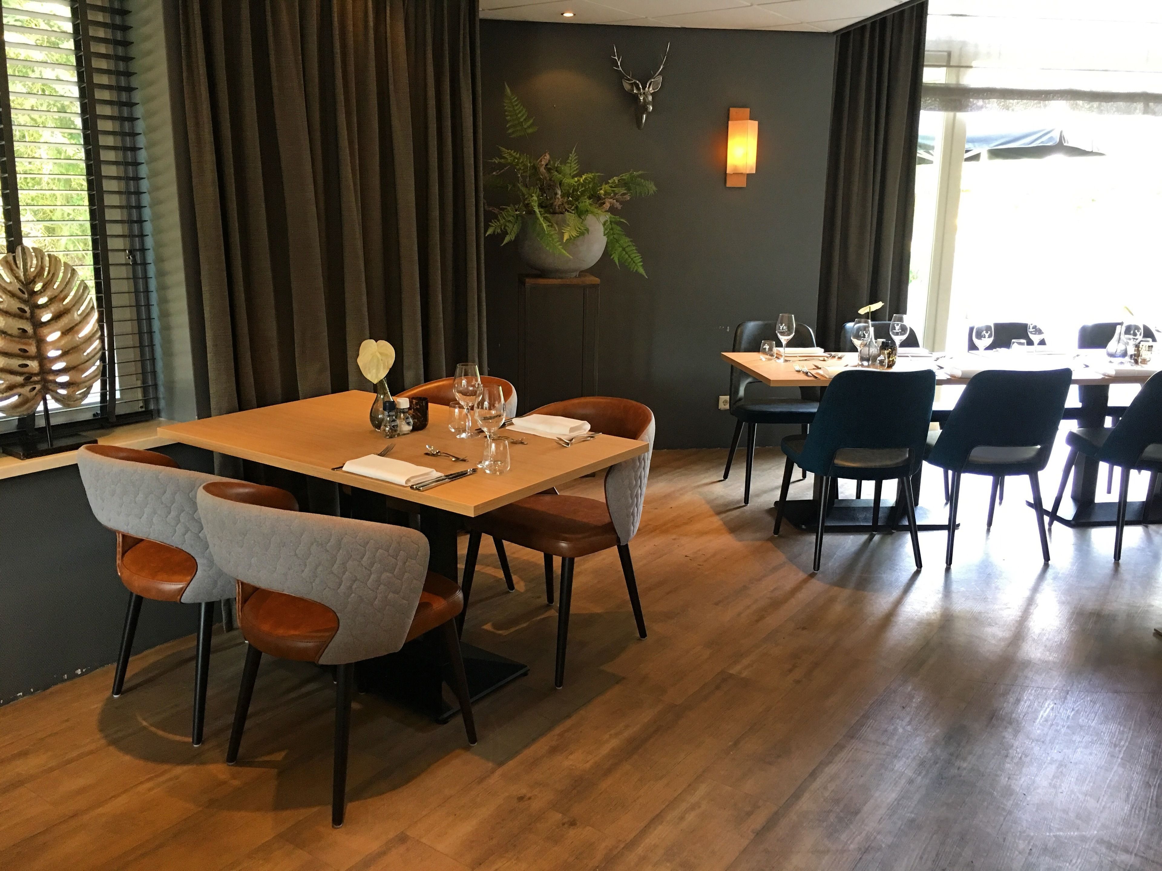 A dining area with a wooden table, cushioned chairs, and a potted plant.