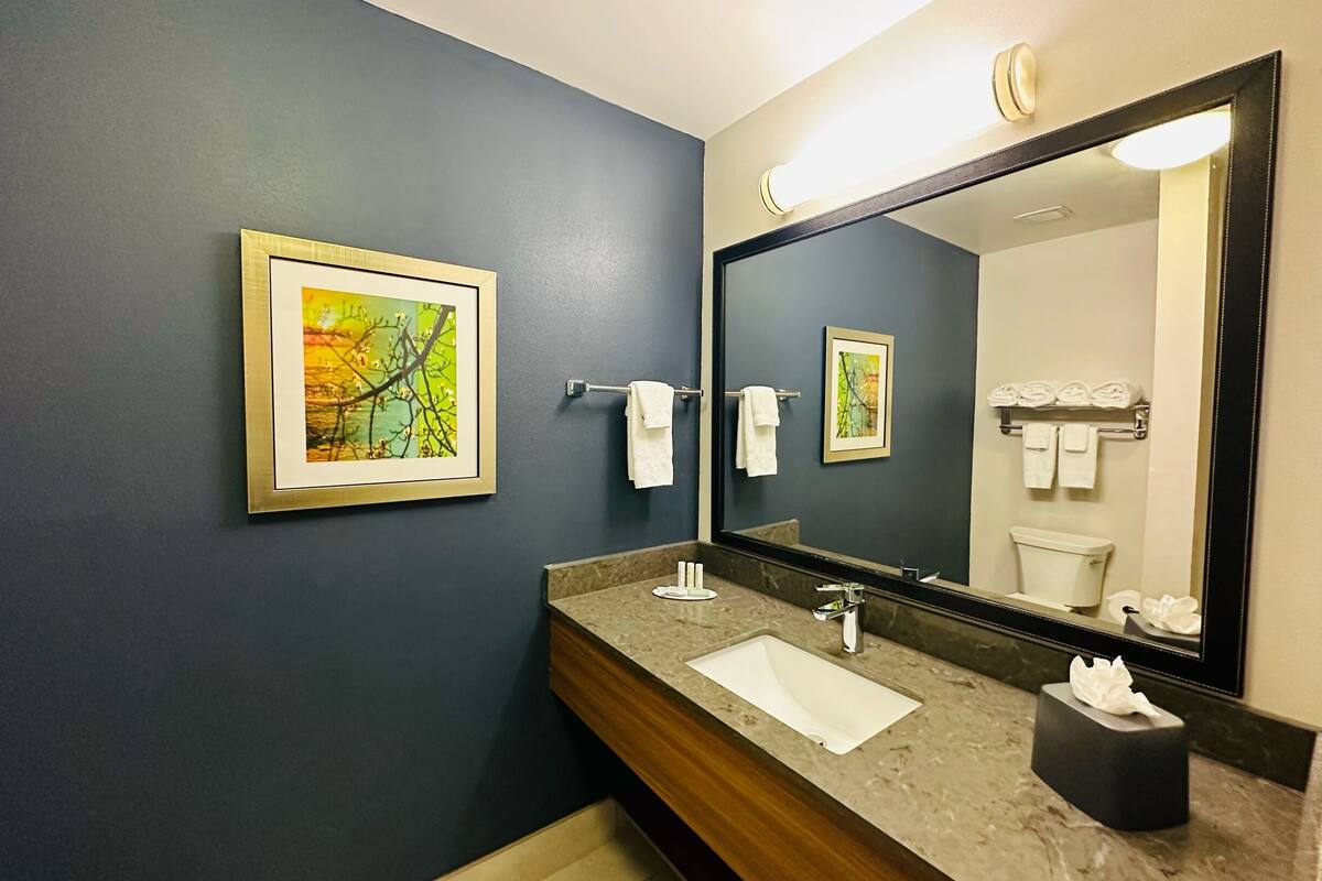 separate bathtub and shower, free toiletries, hair dryer, towels