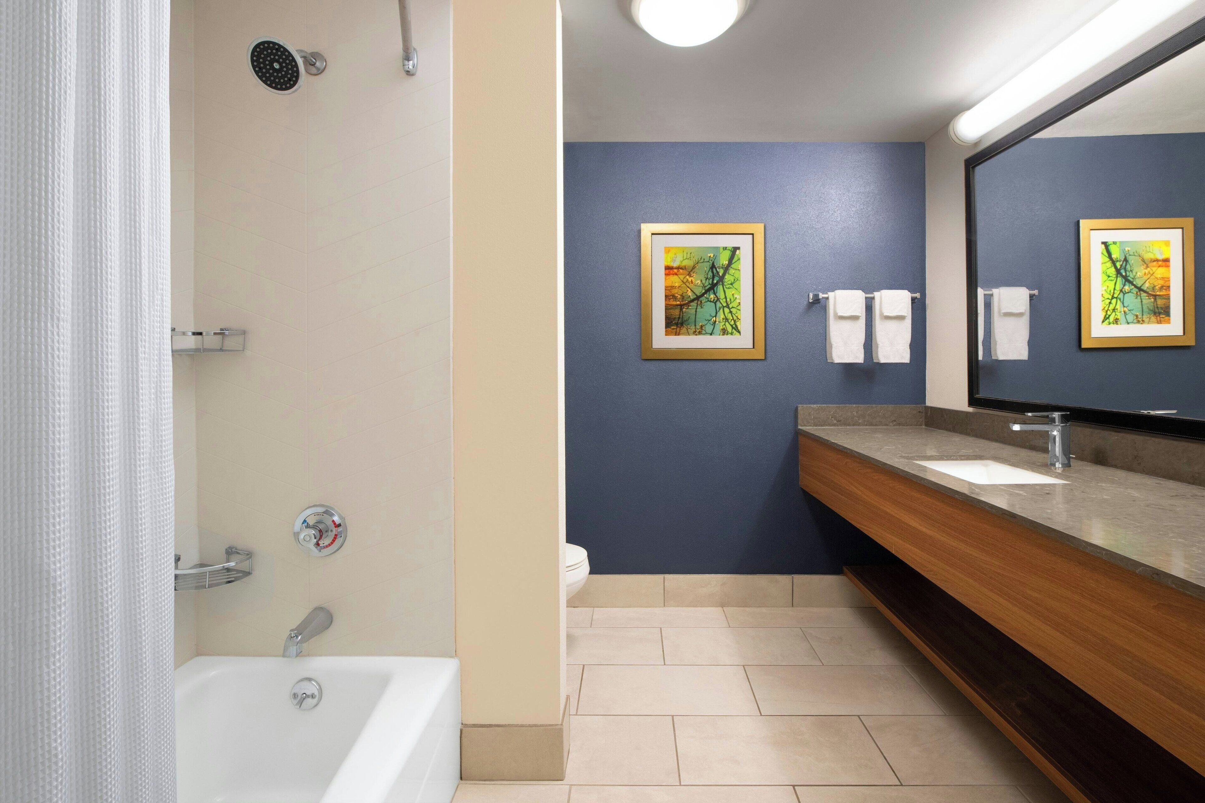 A modern bathroom with a bathtub, a shower, a vanity with a mirror, and two framed artworks on the wall.