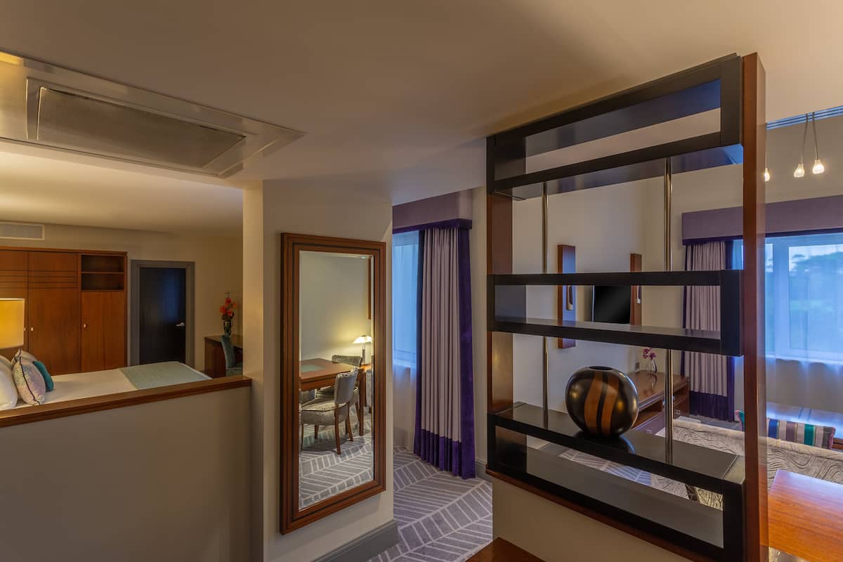 junior suite, 1 king bed, park view | 1 bedroom, hypo-allergenic bedding, minibar, in-room safe