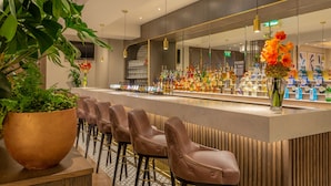 Een bar met een grote potplant, lederen barstoelen en een goed gevulde bar.
