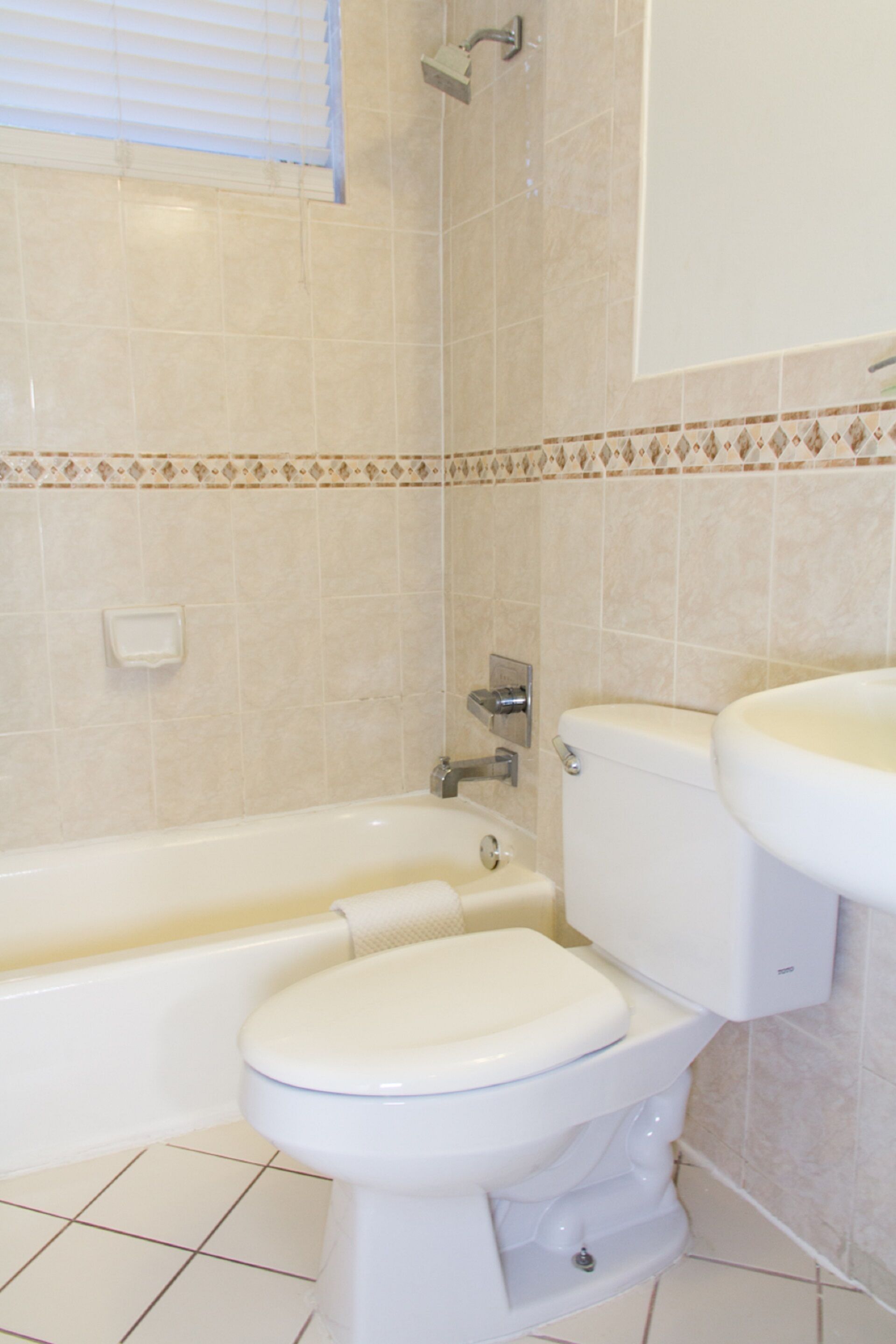 combined shower/bathtub, free toiletries, hair dryer, towels