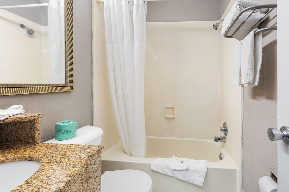 combined shower/bathtub, towels, soap, toilet paper