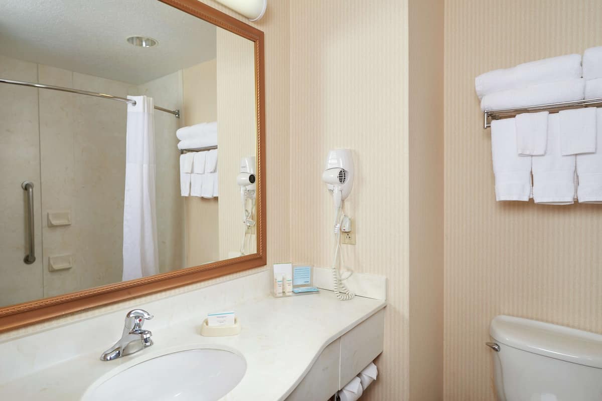 hair dryer, towels