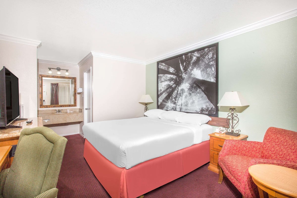 Habitación de hotel con cama, una silla, una mesa, televisor, espejo y un cuadro en la pared.