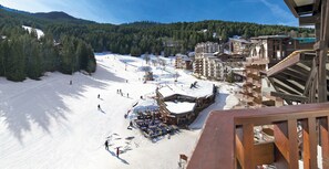 Vista des de l'allotjament