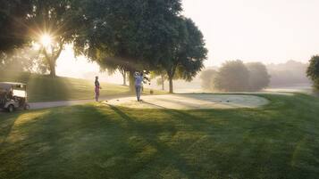 Un campo da golf con un green, alberi e un golf cart.