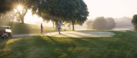A golf course with a putting green, trees, and a golf cart.