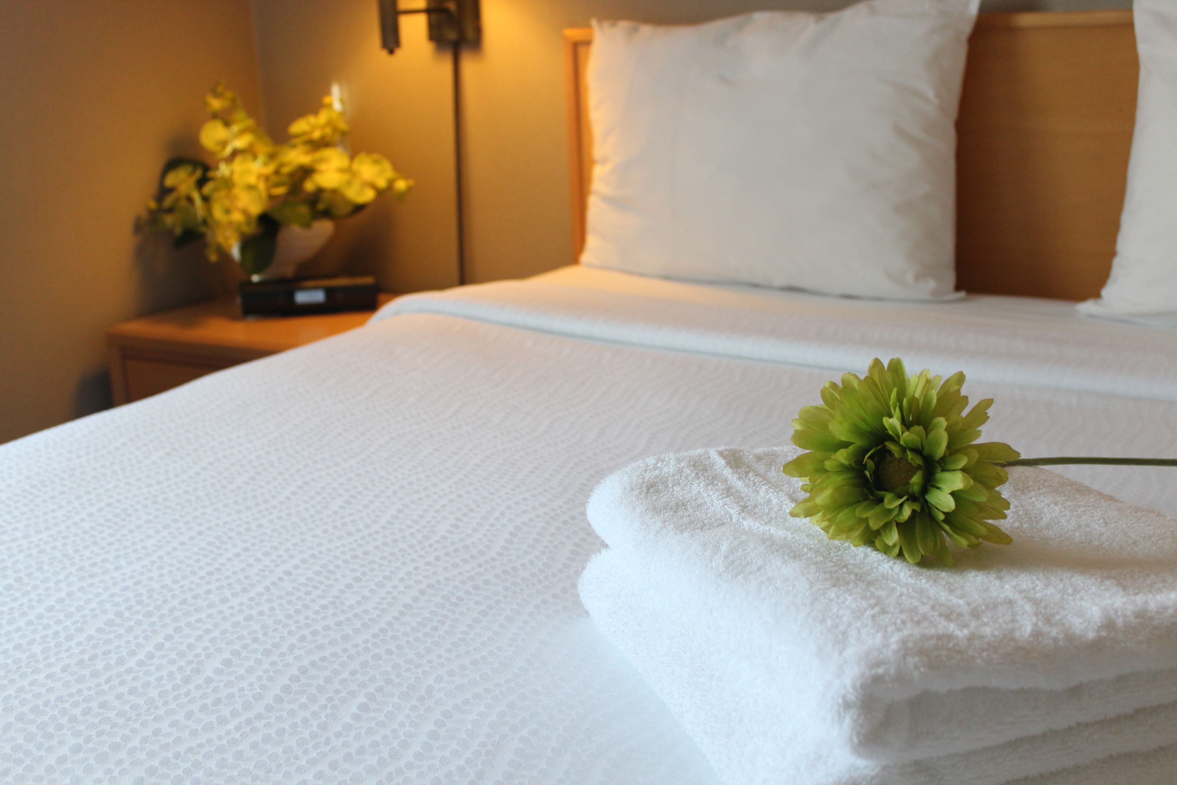 desk, blackout curtains, soundproofing, iron/ironing board