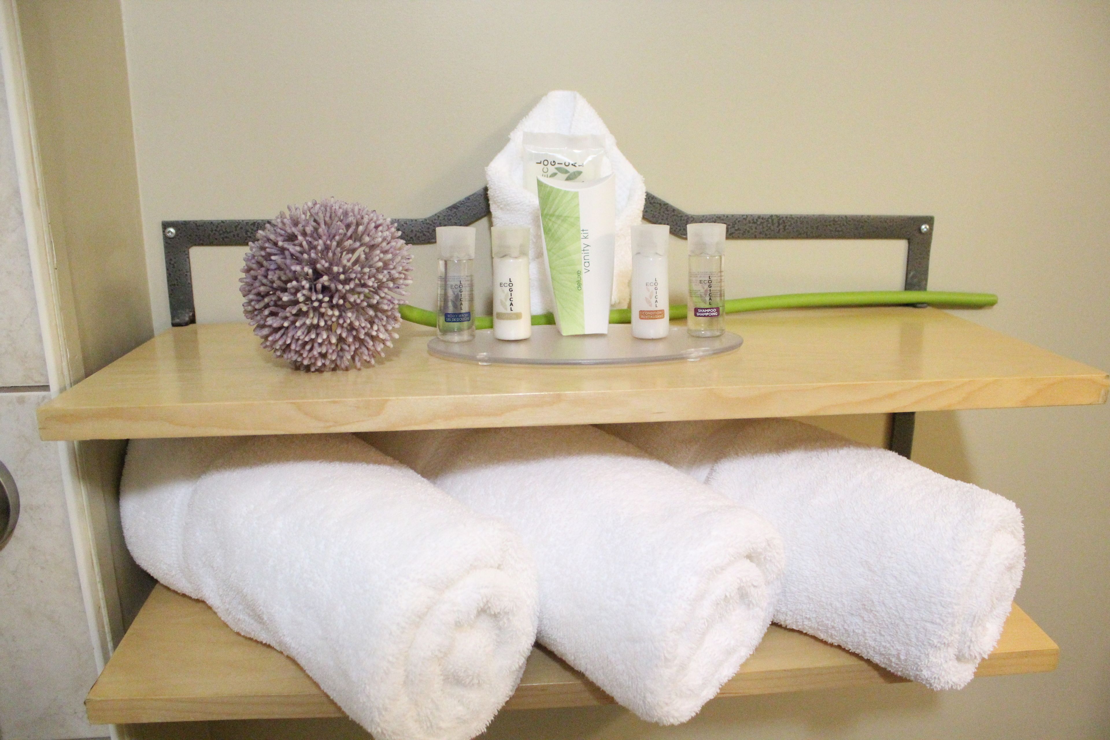 combined shower/bathtub, free toiletries, hair dryer, towels