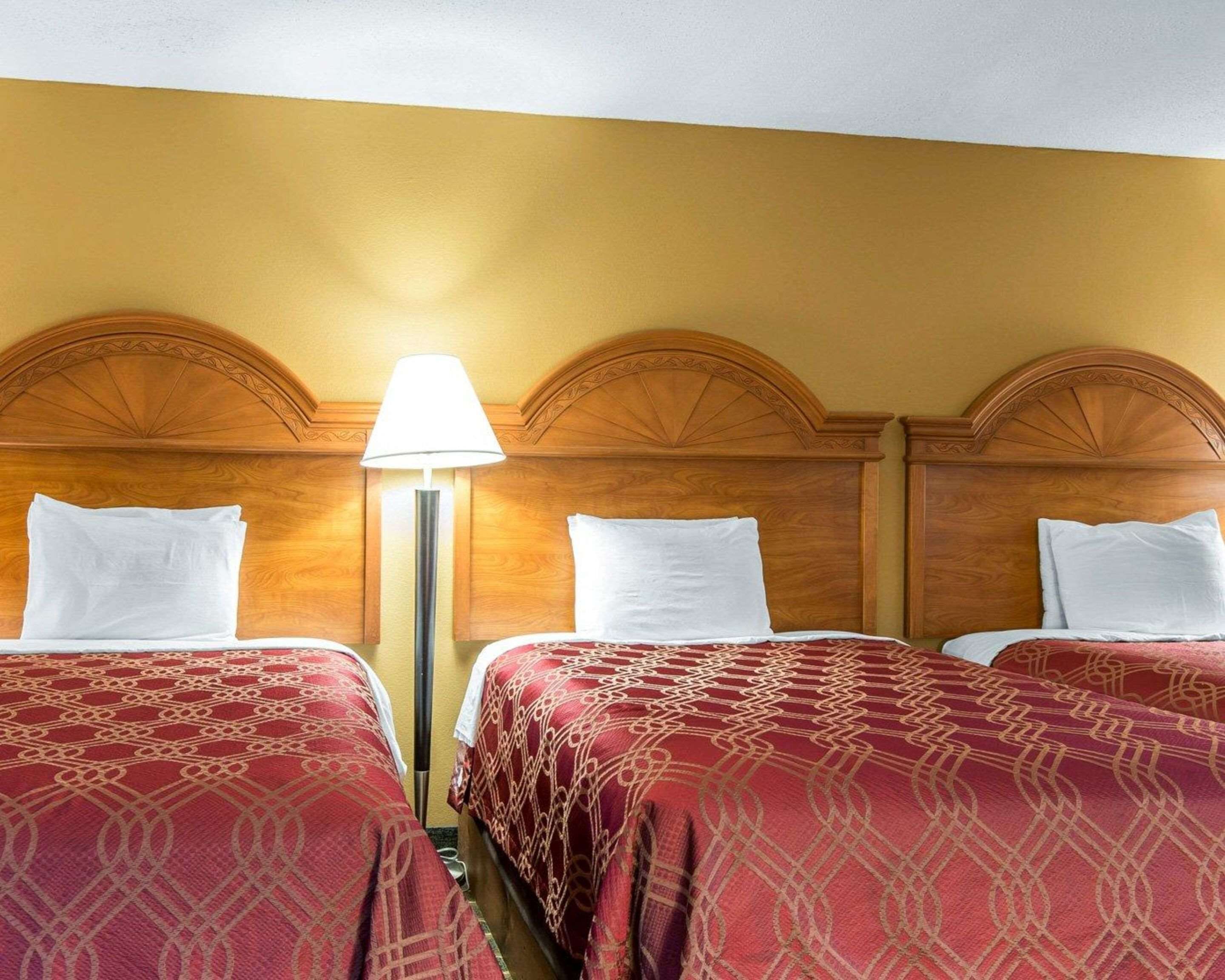 A hotel room with two beds, each with a patterned bedspread and white pillows. A floor lamp is between the beds.