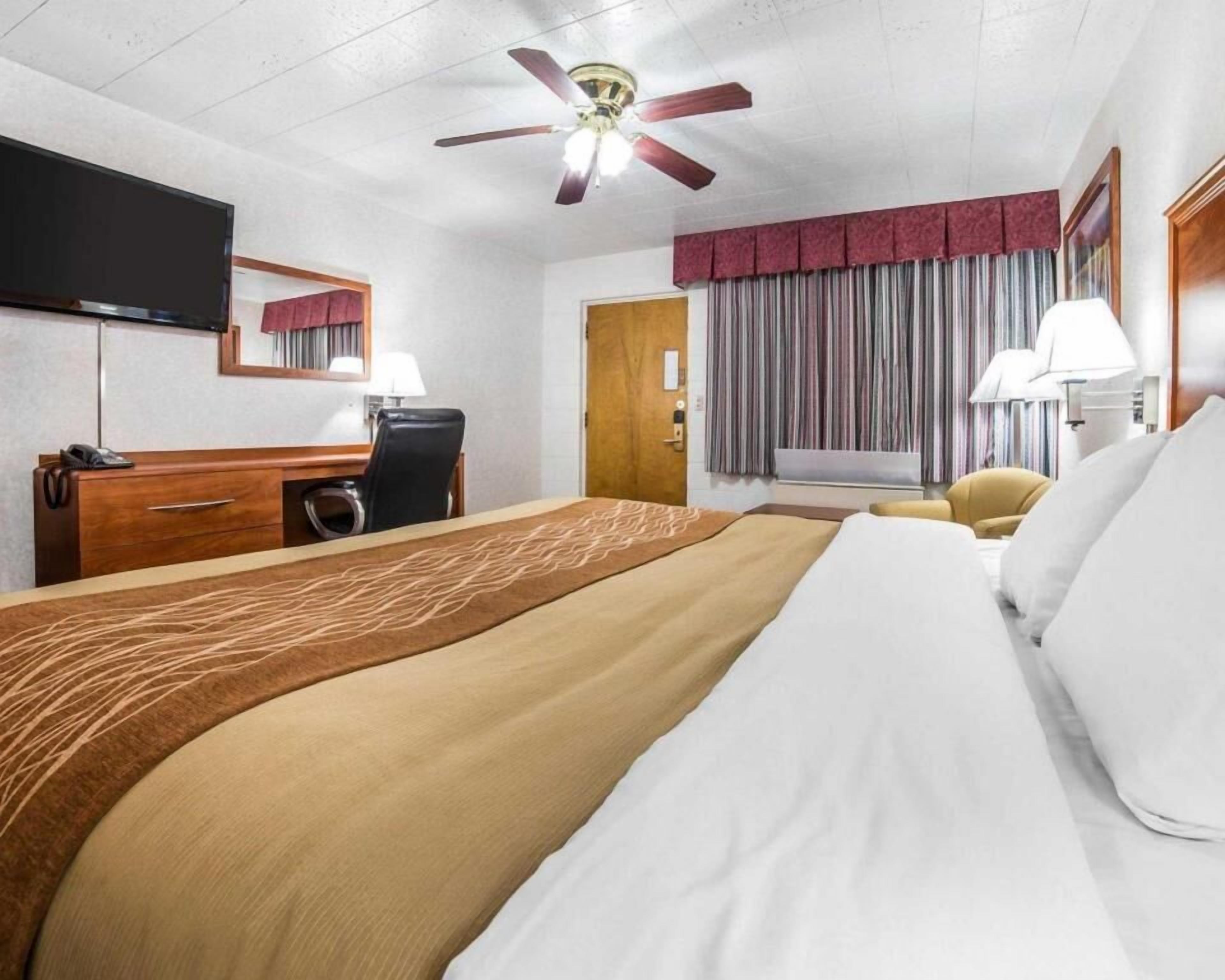 Desk, iron/ironing board, free WiFi, bed sheets