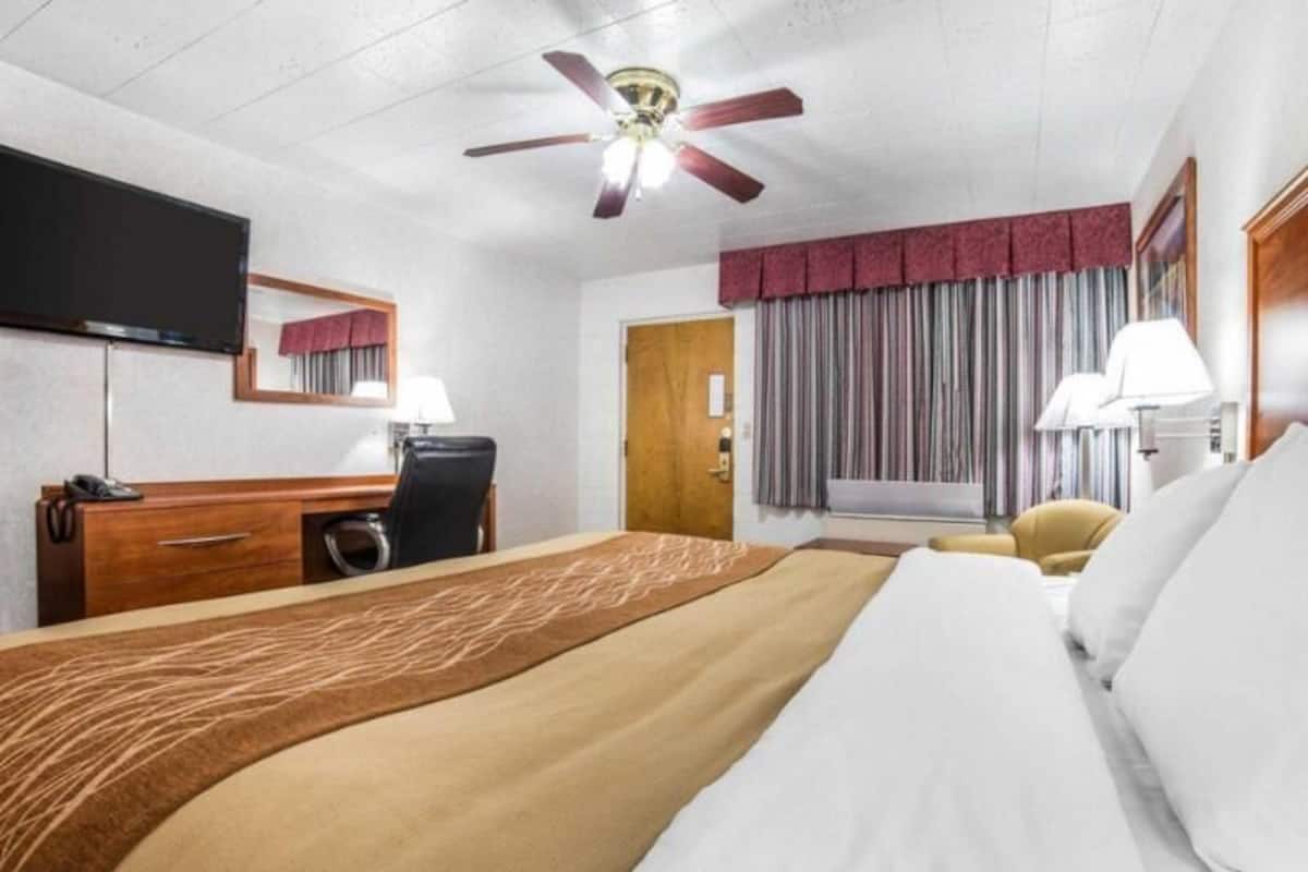 Desk, iron/ironing board, free WiFi, bed sheets