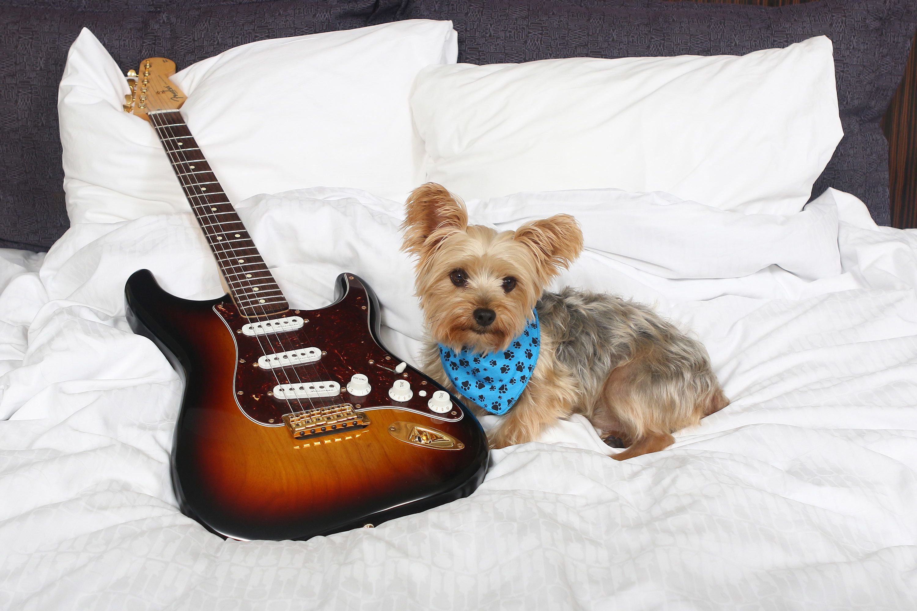 Un lit avec du linge de lit blanc et une guitare.