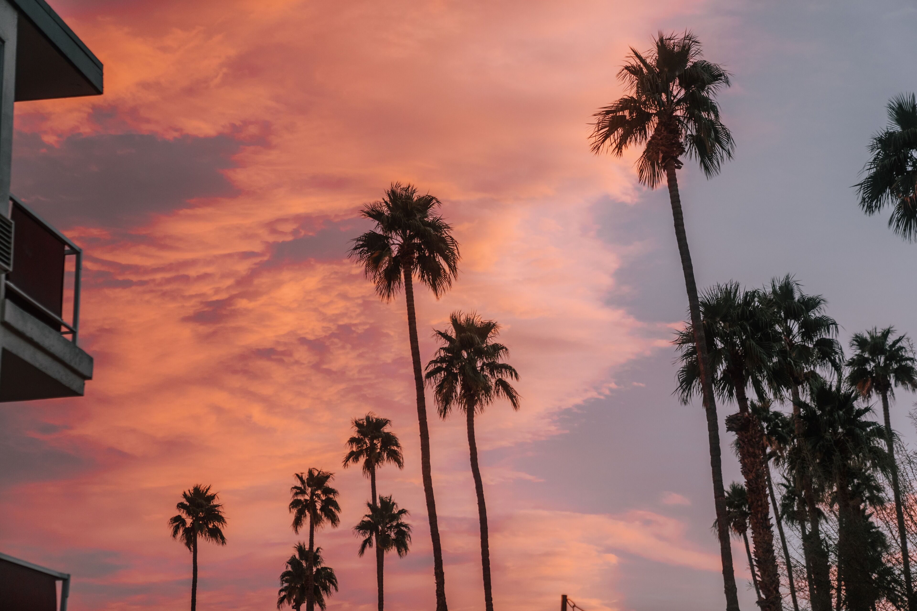 Foto - Royal Sun Palm Springs