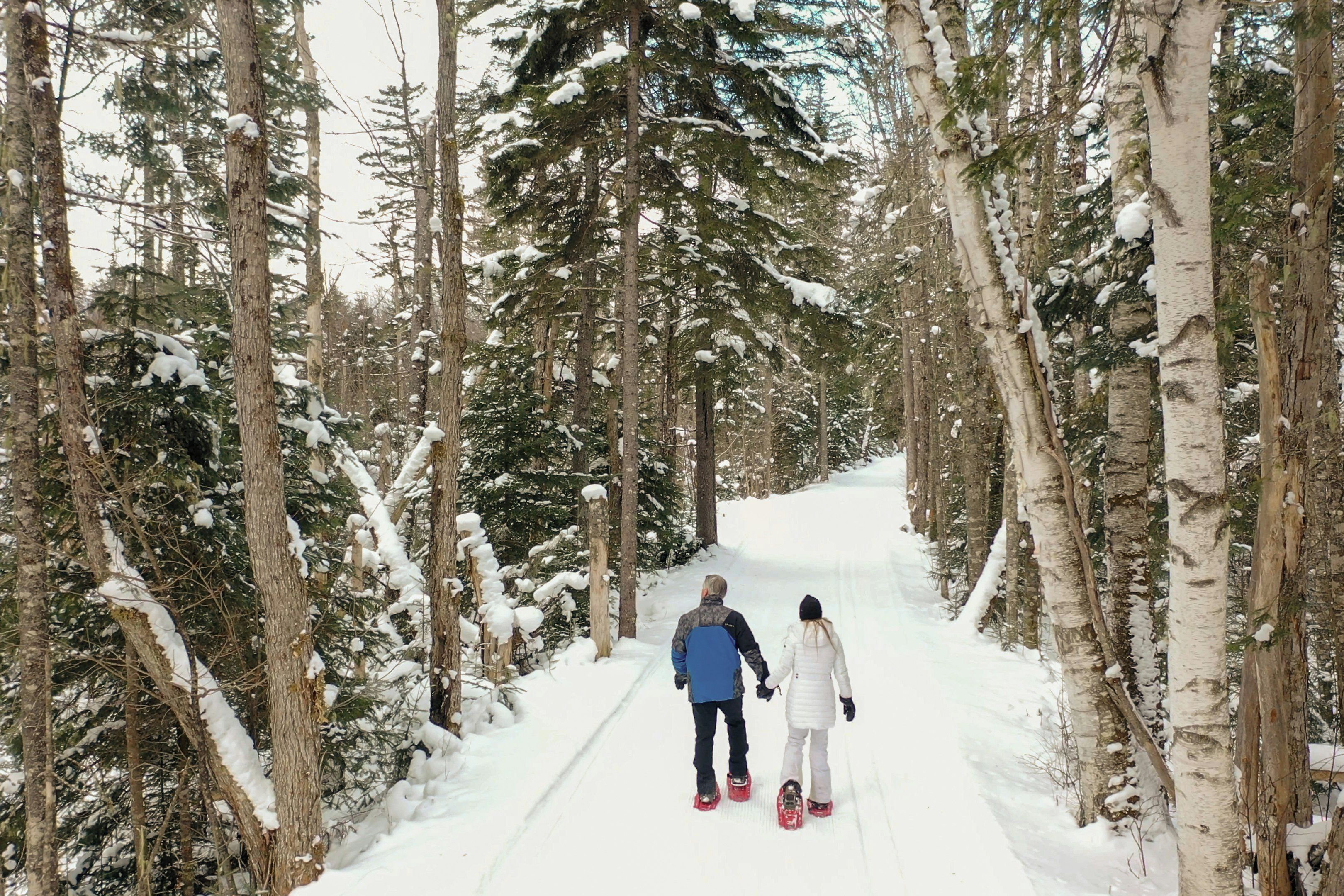A snowy forest path with a couple walking.