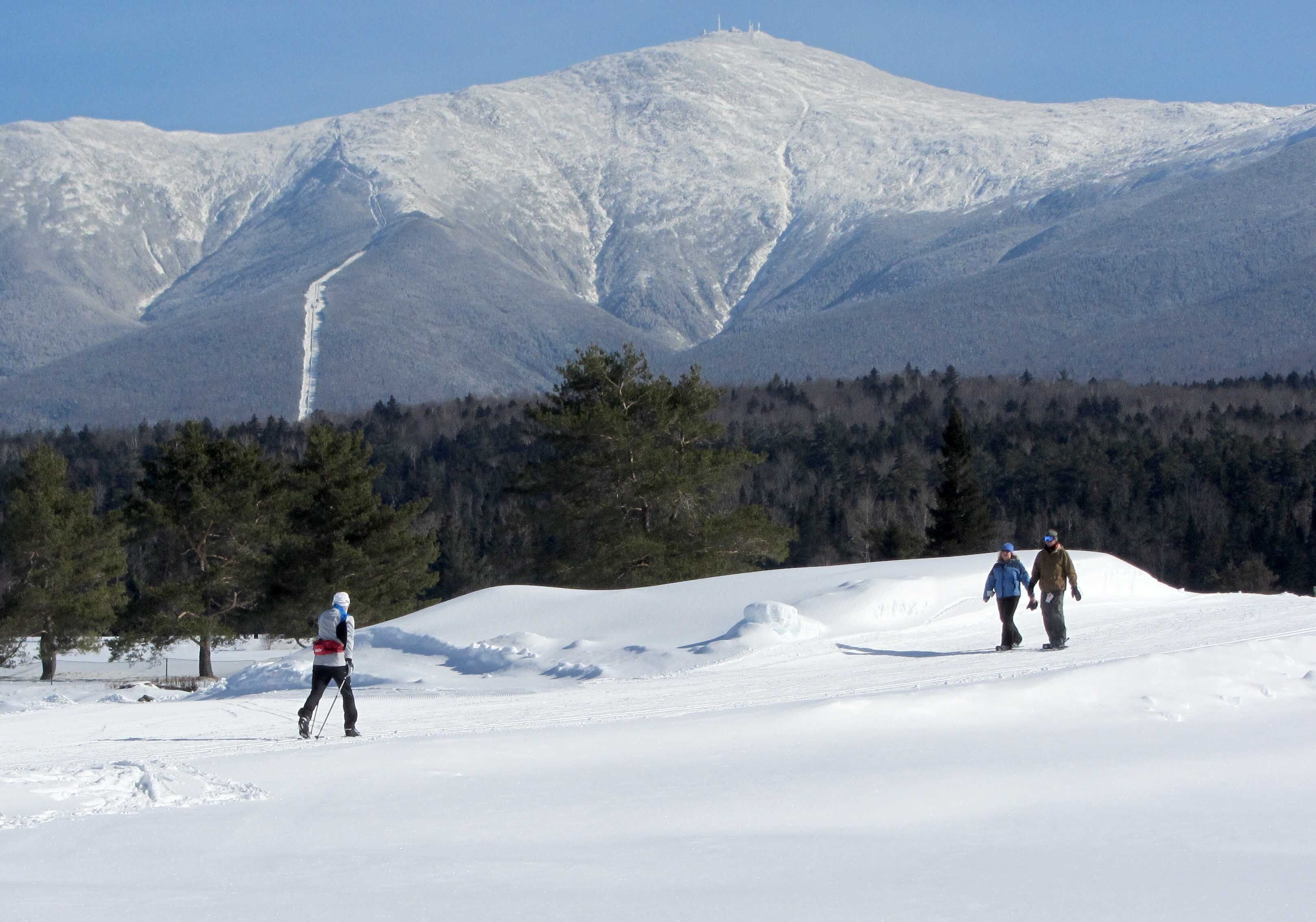 A snowy landscape with a mountain in the background and a forested area in the foreground.