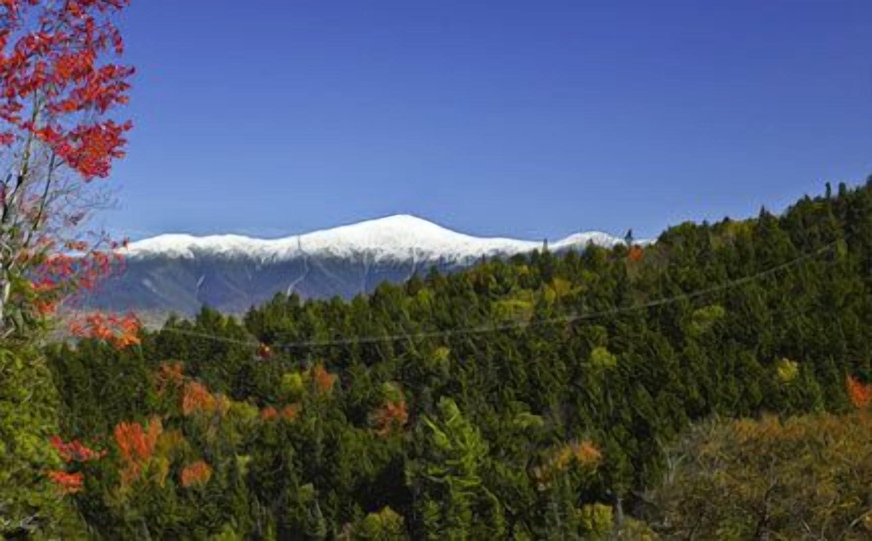 A mountain with a snow-capped peak, dense forest, and a clear sky.