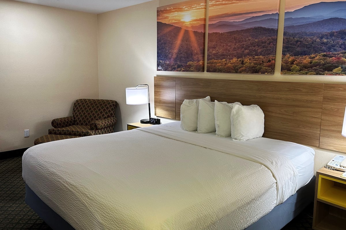 A hotel room with a large bed, a chair, a nightstand with a lamp, and a wall-mounted painting of a sunset over mountains.