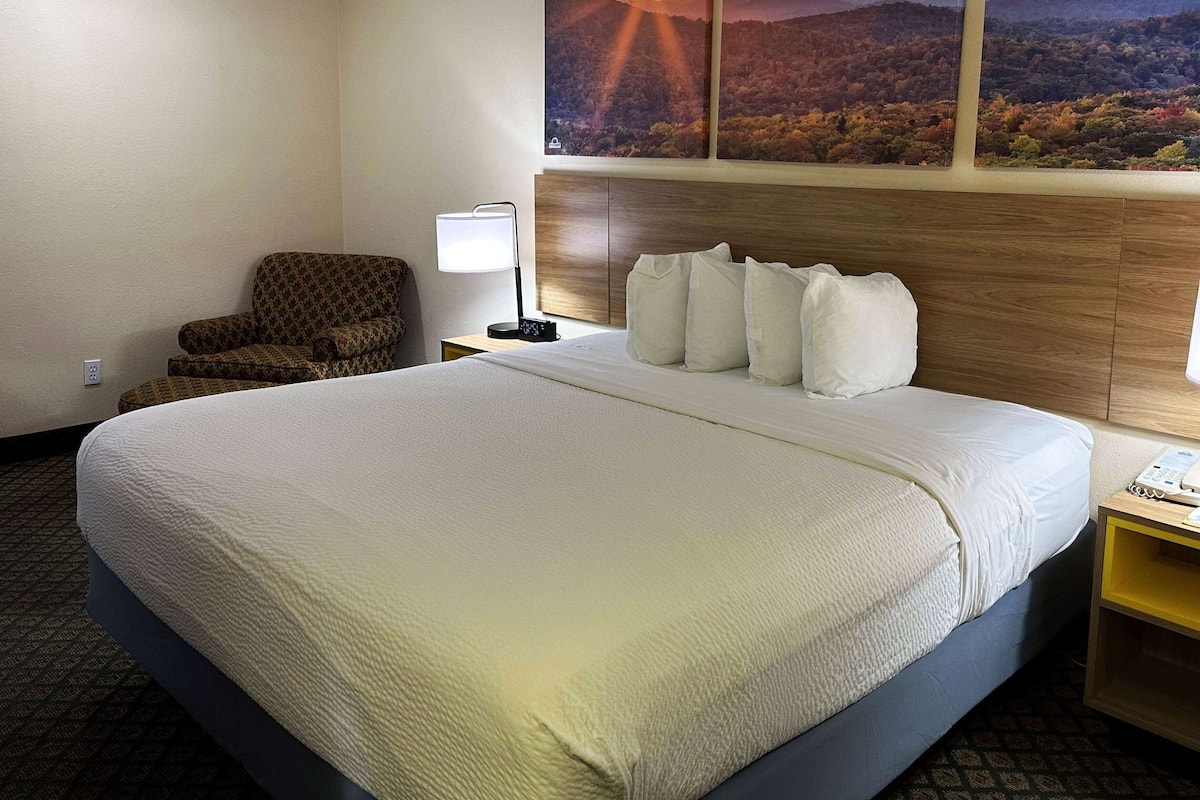 A hotel room with a large bed, a chair, a nightstand with a lamp, and a wall with a scenic view.